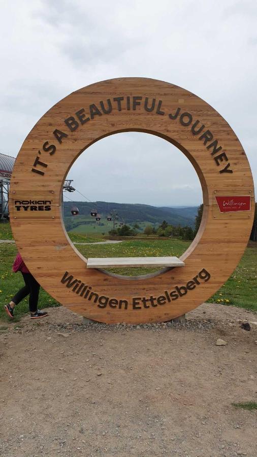 Ferienwohnung Mohnwiese Willingen  Exterior foto
